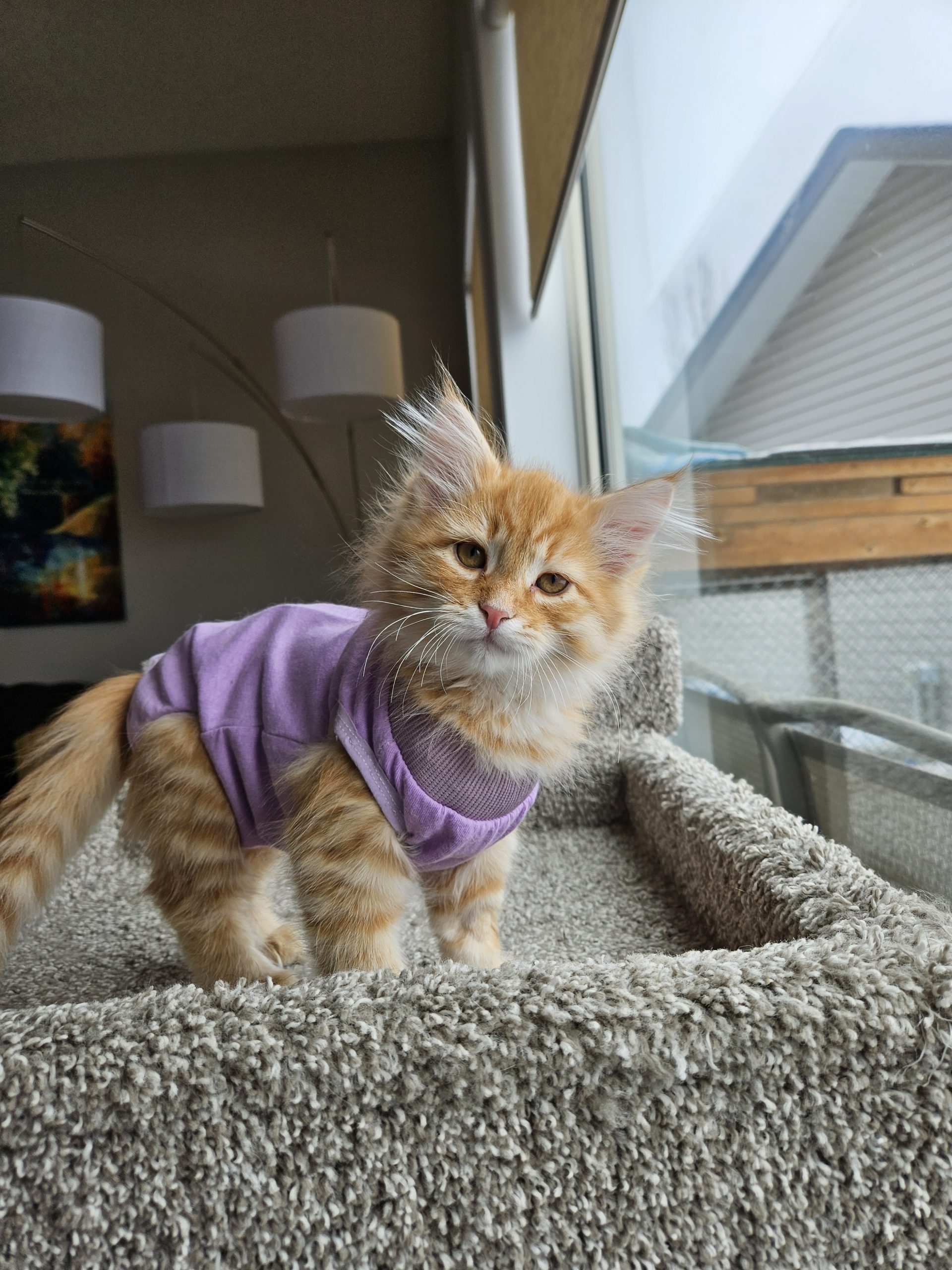 Kira