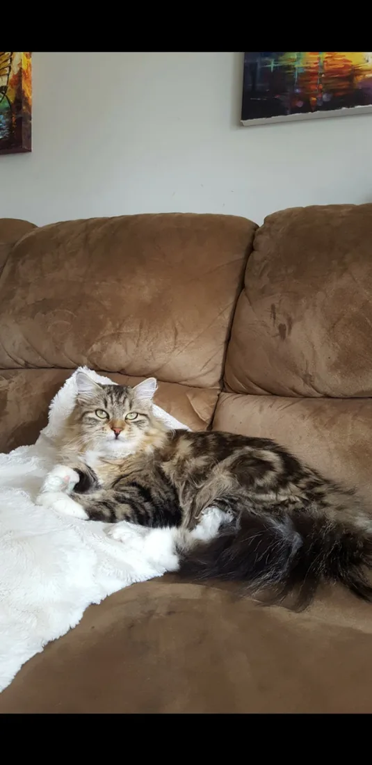 Kira